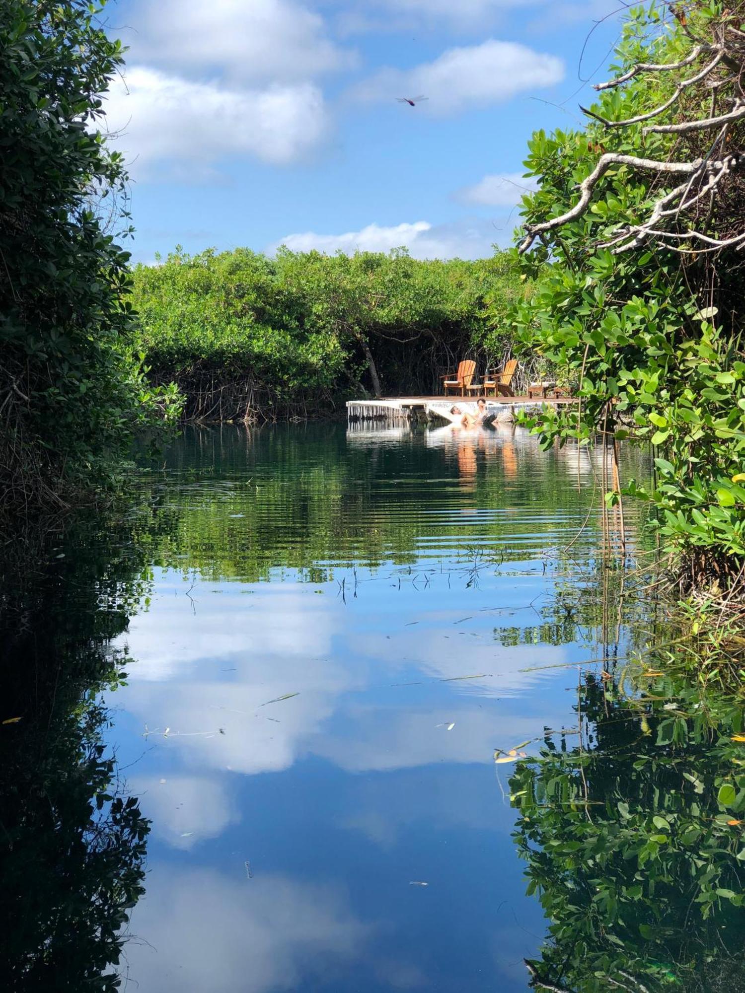 Cabanas Tulum - Aldea Mangle & Cenote Exterior foto