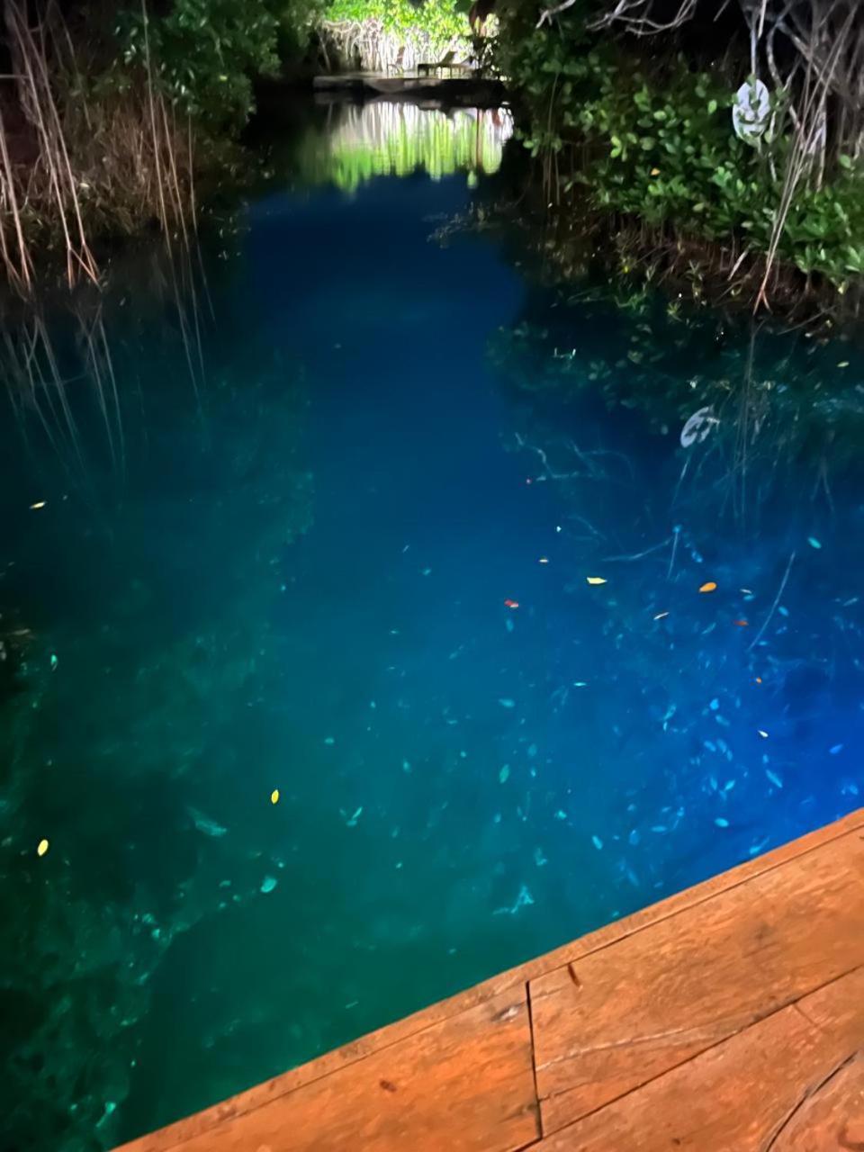 Cabanas Tulum - Aldea Mangle & Cenote Exterior foto