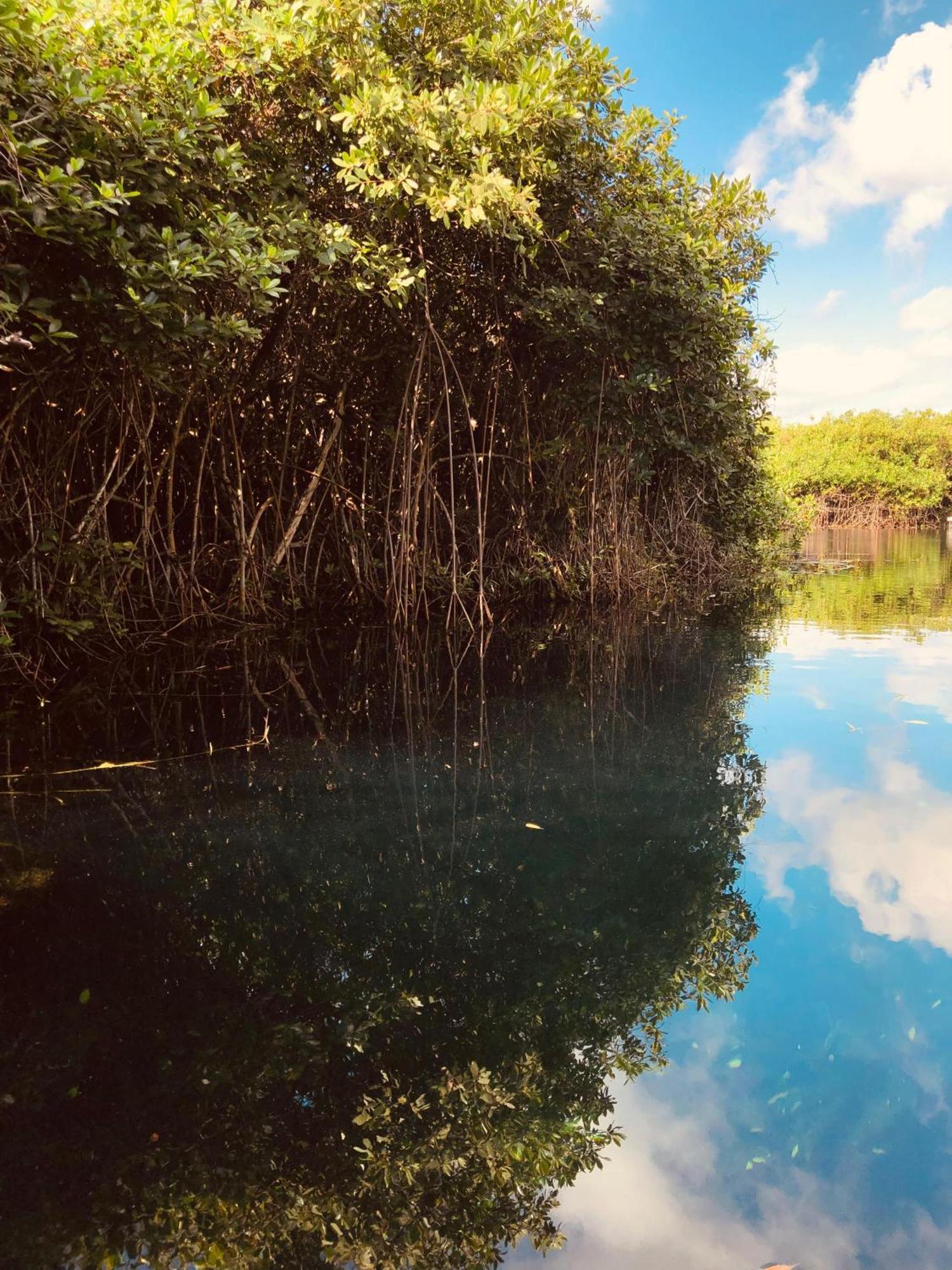 Cabanas Tulum - Aldea Mangle & Cenote Exterior foto